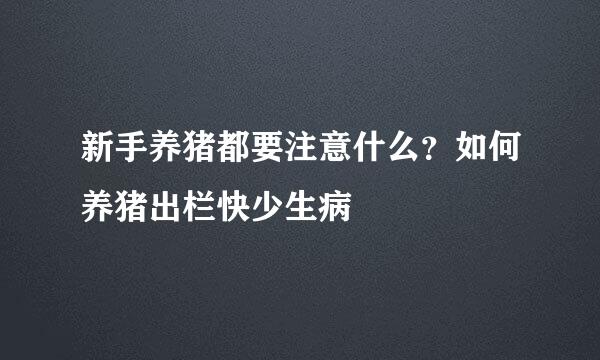 新手养猪都要注意什么？如何养猪出栏快少生病 