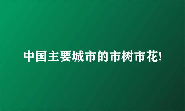 中国主要城市的市树市花!