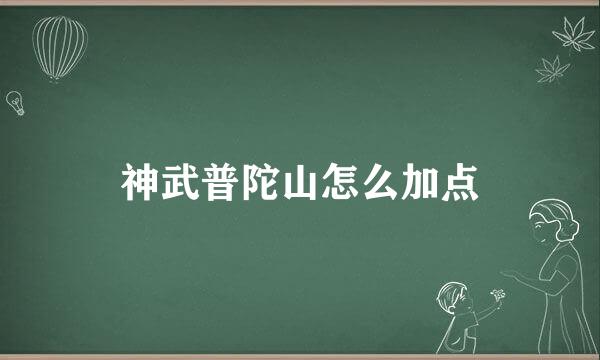 神武普陀山怎么加点