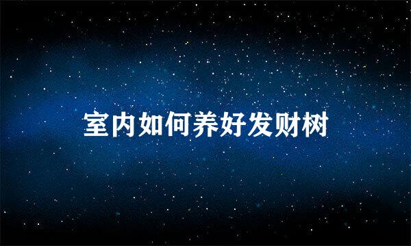 室内如何养好发财树