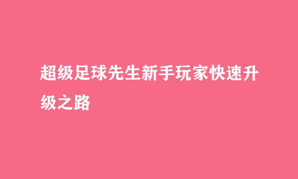 超级足球先生新手玩家快速升级之路