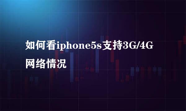 如何看iphone5s支持3G/4G网络情况