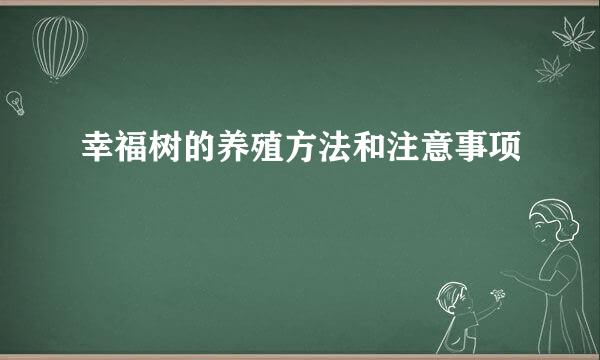 幸福树的养殖方法和注意事项