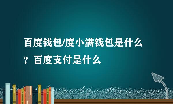 百度钱包/度小满钱包是什么？百度支付是什么