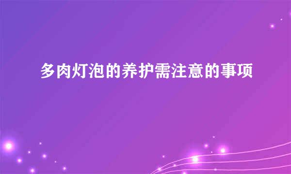 多肉灯泡的养护需注意的事项