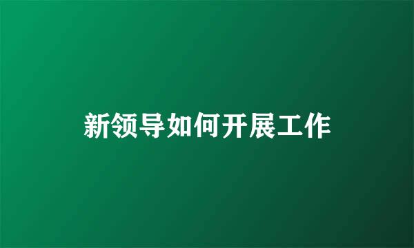 新领导如何开展工作