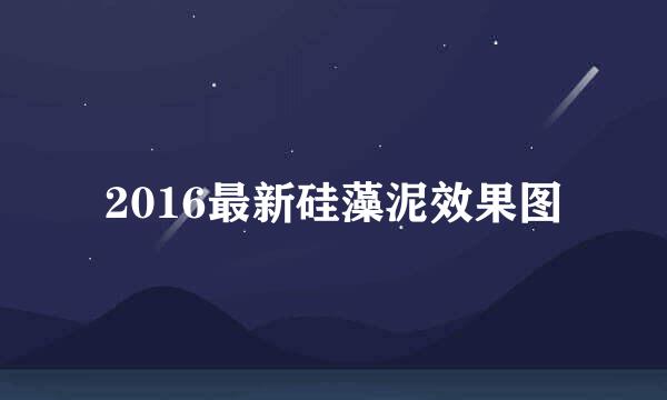 2016最新硅藻泥效果图