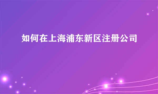 如何在上海浦东新区注册公司