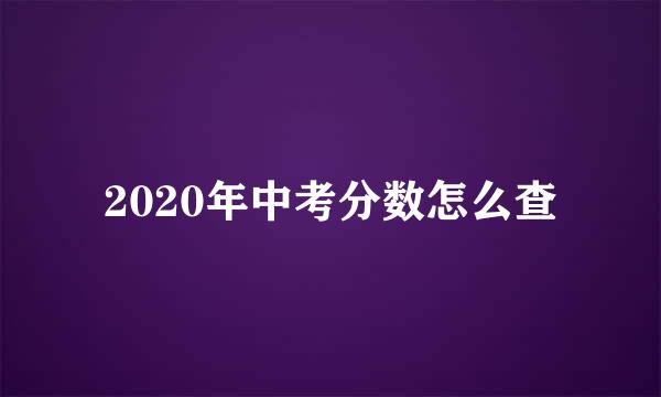 2020年中考分数怎么查