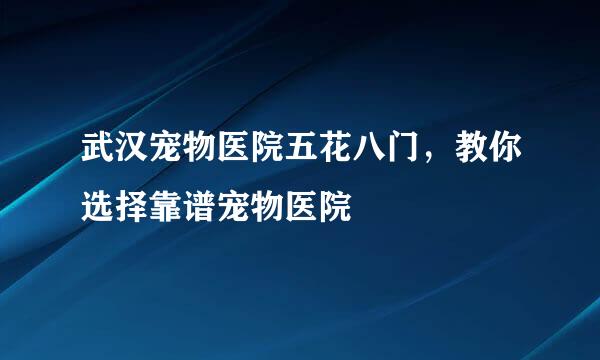 武汉宠物医院五花八门，教你选择靠谱宠物医院