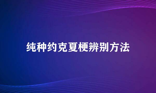 纯种约克夏梗辨别方法