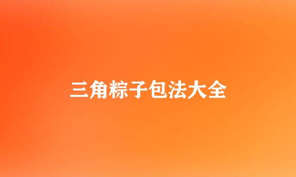 三角粽子包法大全