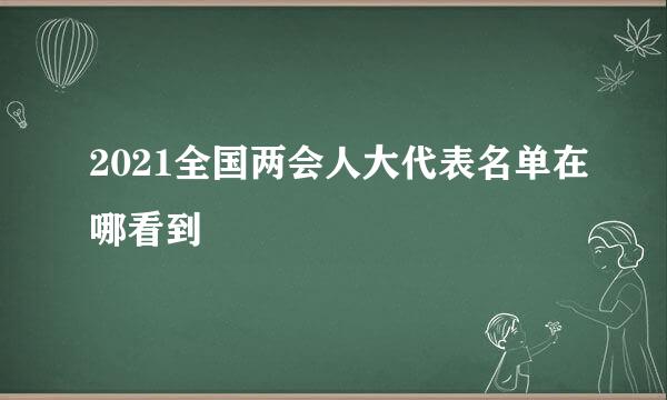 2021全国两会人大代表名单在哪看到