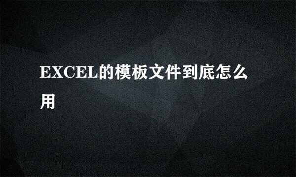 EXCEL的模板文件到底怎么用