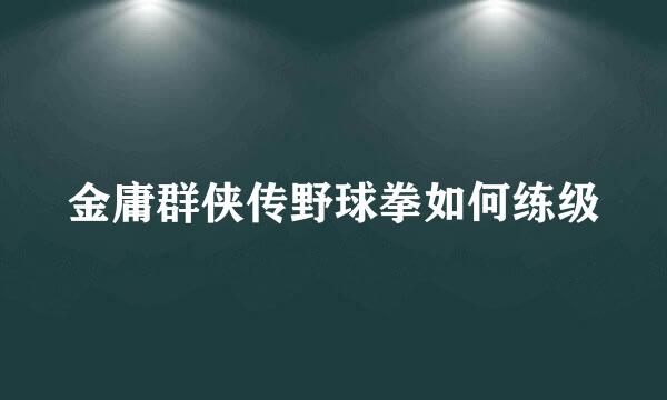 金庸群侠传野球拳如何练级