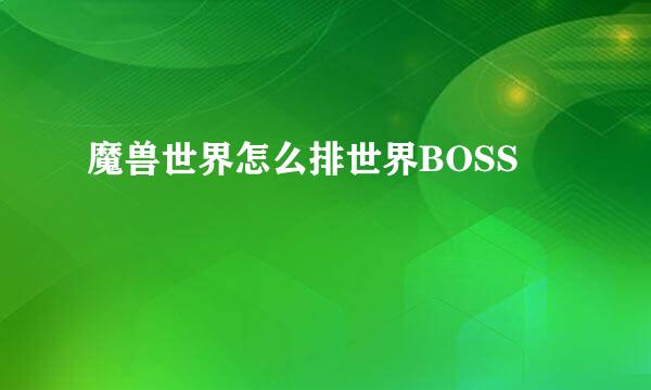 魔兽世界怎么排世界BOSS