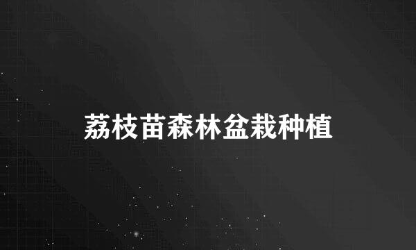 荔枝苗森林盆栽种植