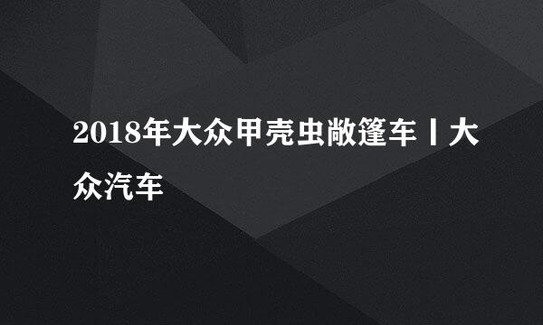 2018年大众甲壳虫敞篷车丨大众汽车