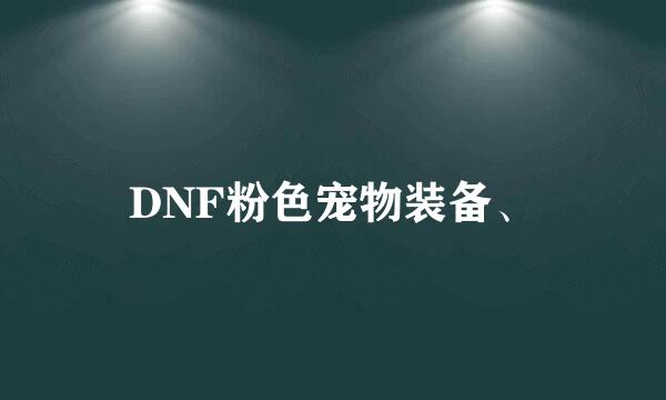 DNF粉色宠物装备、