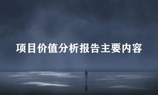 项目价值分析报告主要内容