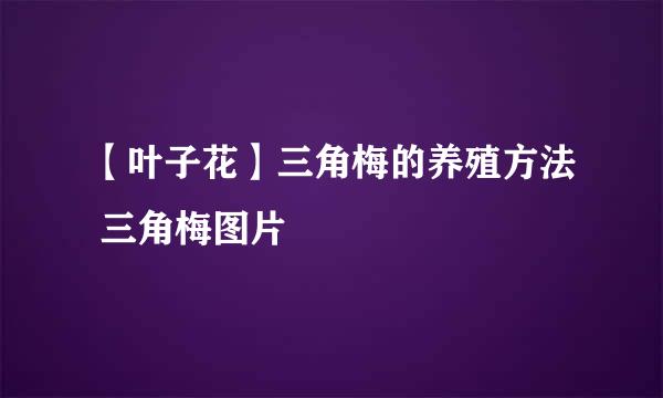 【叶子花】三角梅的养殖方法 三角梅图片