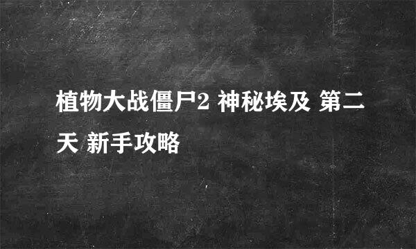 植物大战僵尸2 神秘埃及 第二天 新手攻略