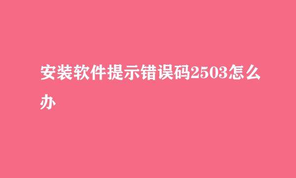 安装软件提示错误码2503怎么办