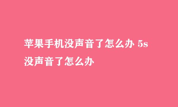 苹果手机没声音了怎么办 5s没声音了怎么办