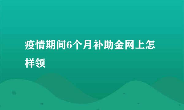 疫情期间6个月补助金网上怎样领