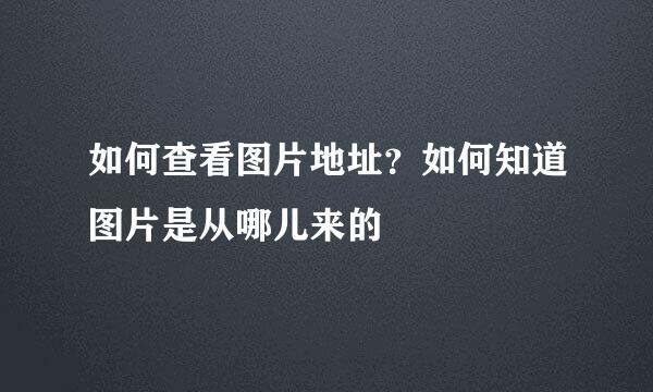 如何查看图片地址？如何知道图片是从哪儿来的