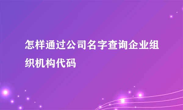 怎样通过公司名字查询企业组织机构代码