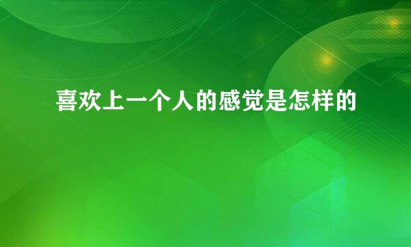 喜欢上一个人的感觉是怎样的