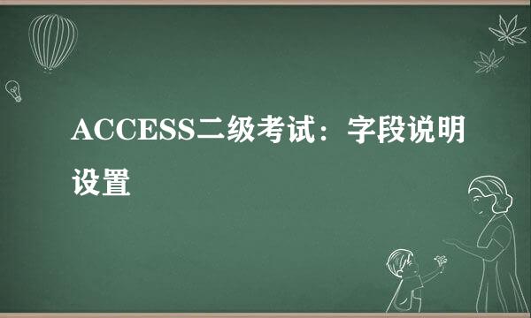 ACCESS二级考试：字段说明设置