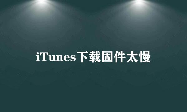 iTunes下载固件太慢