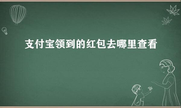 支付宝领到的红包去哪里查看