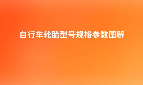 自行车轮胎型号规格参数图解