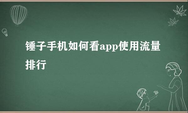 锤子手机如何看app使用流量排行