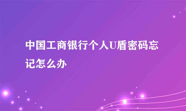 中国工商银行个人U盾密码忘记怎么办