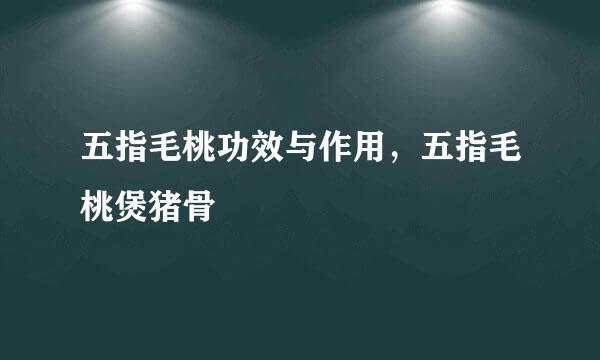 五指毛桃功效与作用，五指毛桃煲猪骨