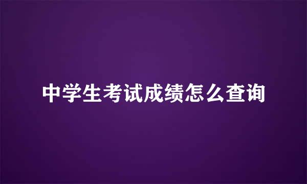 中学生考试成绩怎么查询