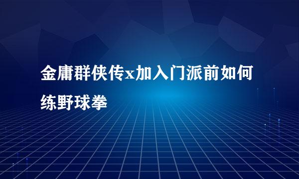 金庸群侠传x加入门派前如何练野球拳