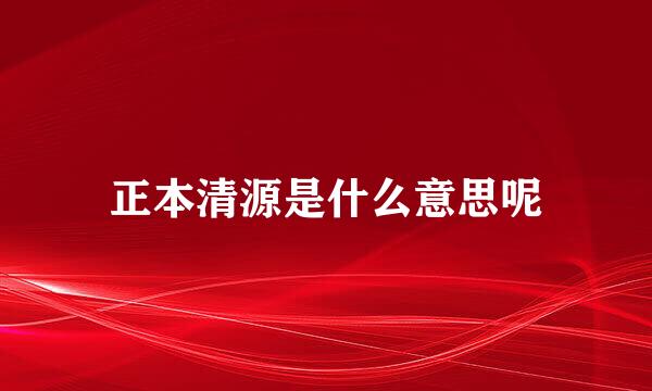 正本清源是什么意思呢