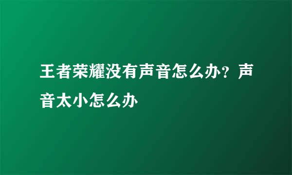 王者荣耀没有声音怎么办？声音太小怎么办