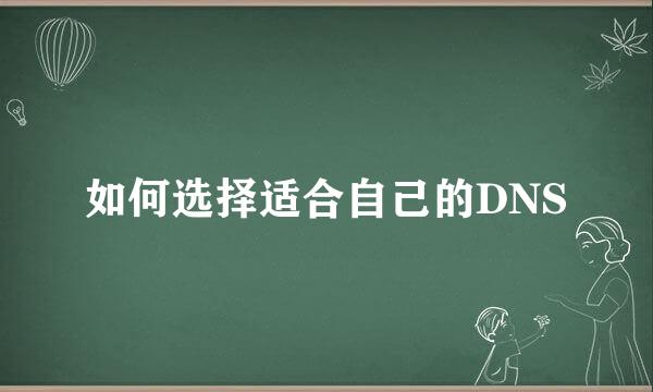 如何选择适合自己的DNS