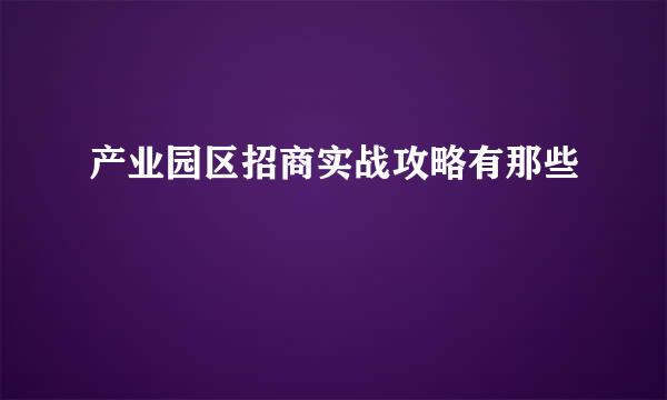 产业园区招商实战攻略有那些