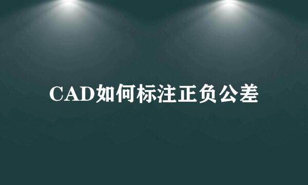 CAD如何标注正负公差