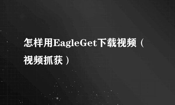 怎样用EagleGet下载视频（视频抓获）