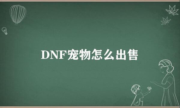 DNF宠物怎么出售