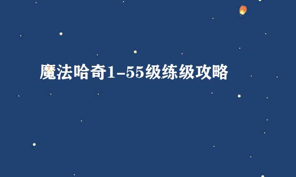 魔法哈奇1-55级练级攻略