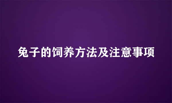 兔子的饲养方法及注意事项